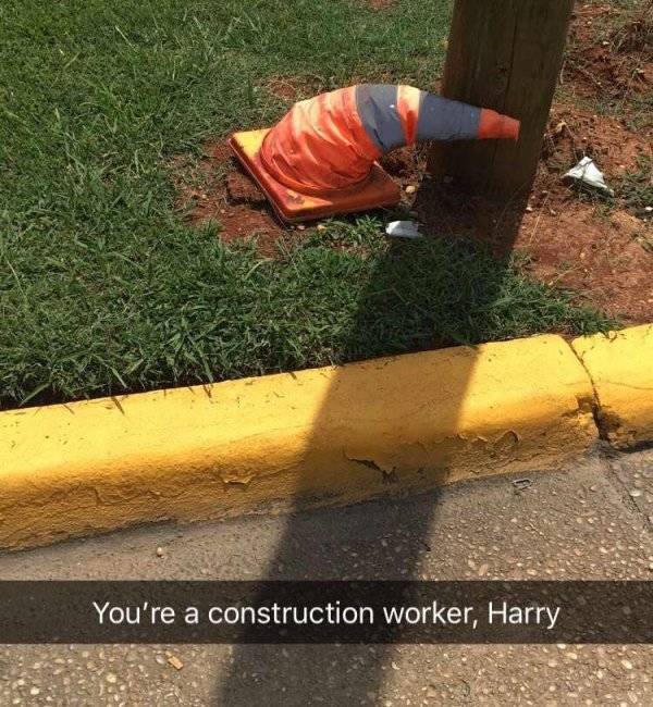 Daily Picdump [WEEKEND EDITION]