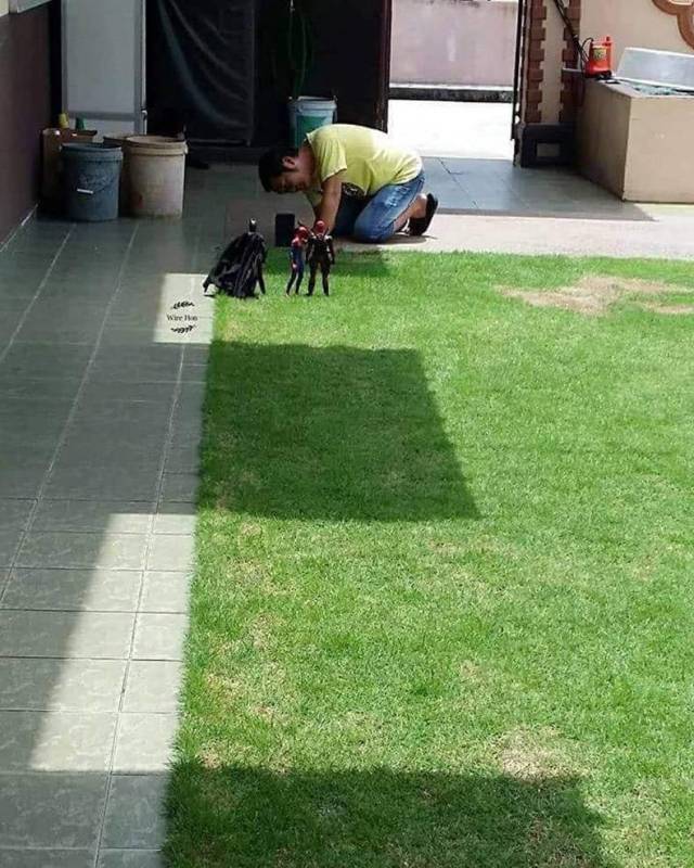 daily picdump weekend edition 55 pics 2.html - 55 HD Photos | Premium Gallery 2018