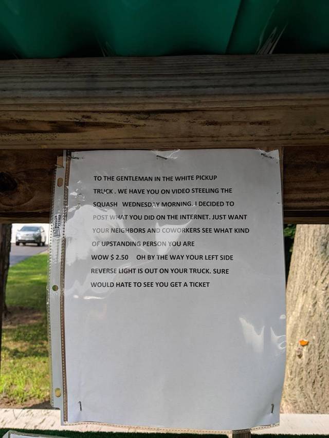 daily picdump weekend edition 55 pics 2.html - 55 HD Photos | Premium Gallery 2018