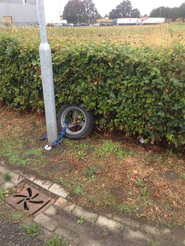 daily picdump weekend edition 55 pics 2.html - 55 HD Photos | Premium Gallery 2018