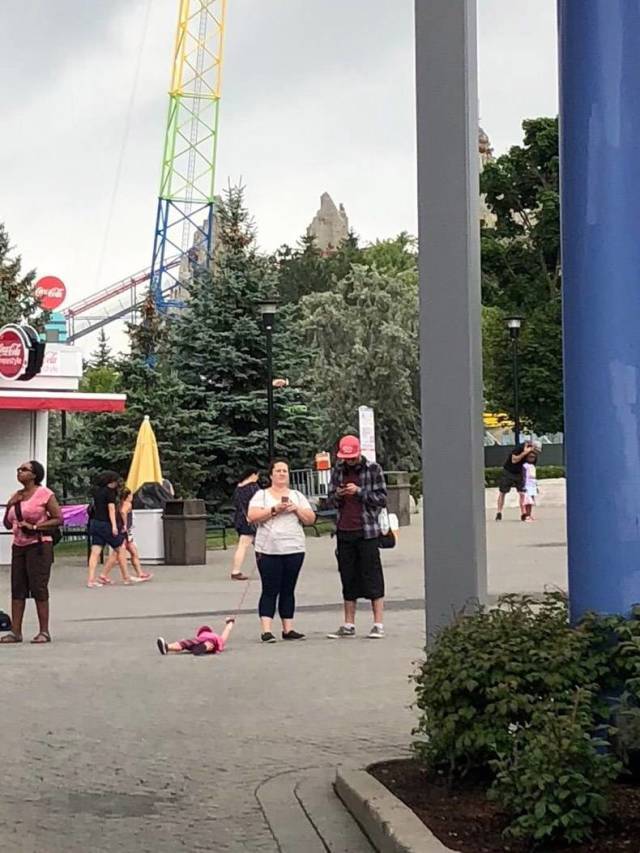 daily picdump weekend edition 55 pics 2.html - 55 HD Photos | Premium Gallery 2018