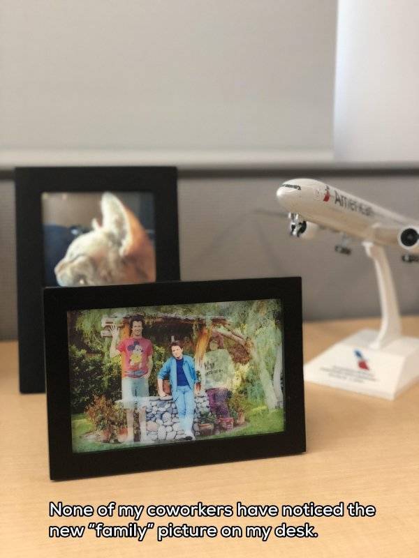 daily picdump weekend edition 55 pics 2.html - 55 HD Photos | Premium Gallery 2018