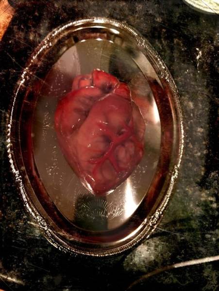 These Creepy Cakes Are Definitely Not For Birthdays!