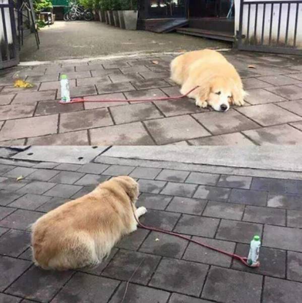 daily picdump 84 pics 28.html - 84 HD Photos | Premium Gallery 2018