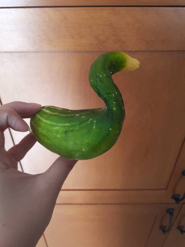 daily picdump 84 pics 28.html - 84 HD Photos | Premium Gallery 2018