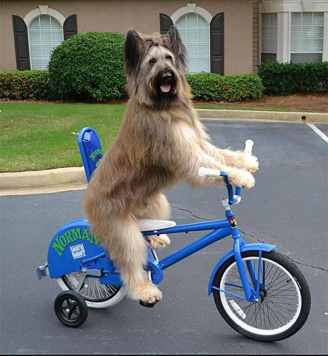 morning picdump 53 pics 2.html - 53 HD Photos | Premium Gallery 2018