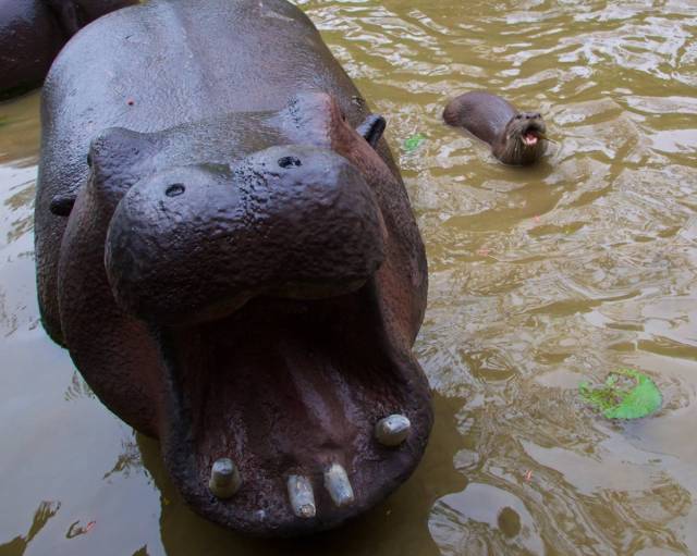 daily picdump 84 pics 41.html - 84 HD Photos | Premium Gallery 2018