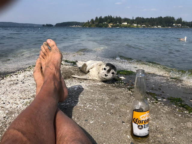 daily picdump 84 pics 41.html - 84 HD Photos | Premium Gallery 2018