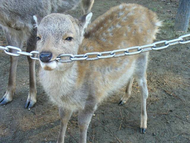 daily picdump 84 pics 41.html - 84 HD Photos | Premium Gallery 2018