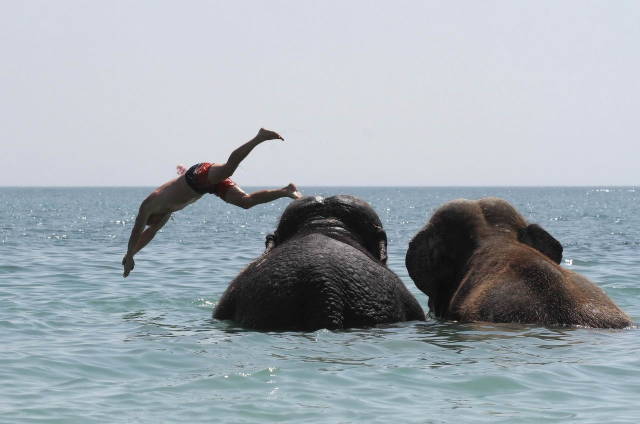 daily picdump 84 pics 41.html - 84 HD Photos | Premium Gallery 2018