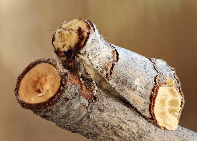 daily picdump 84 pics 41.html - 84 HD Photos | Premium Gallery 2018