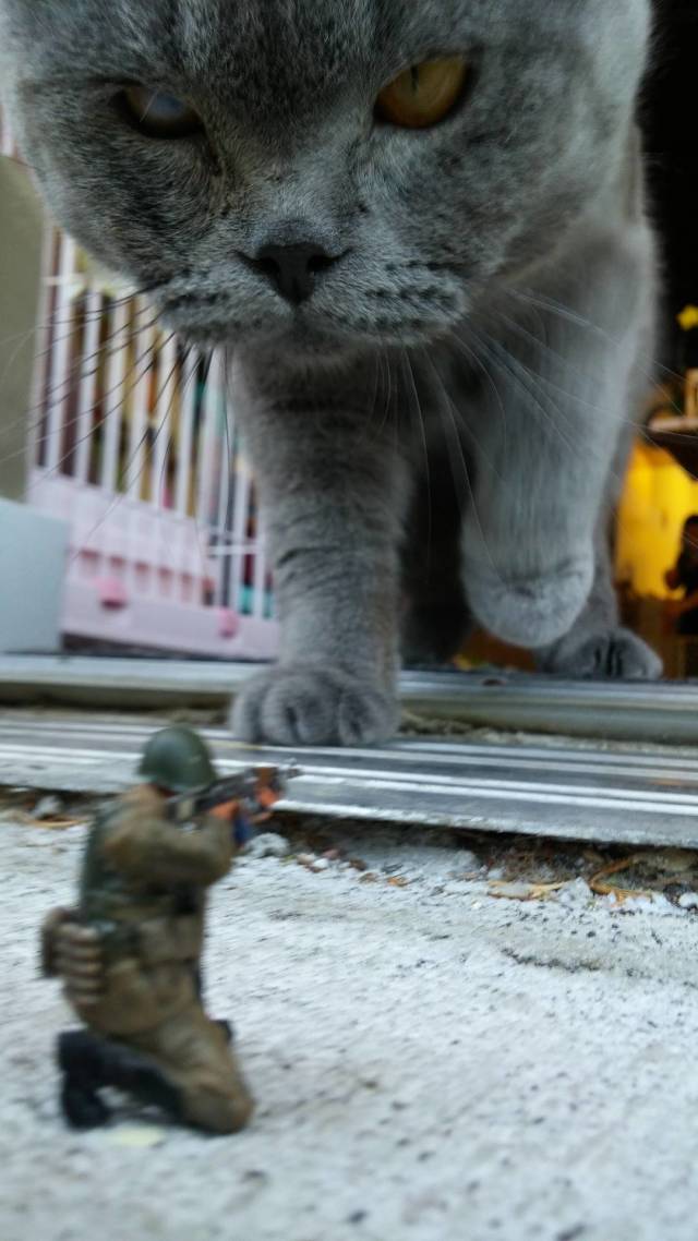 daily picdump 84 pics 41.html - 84 HD Photos | Premium Gallery 2018