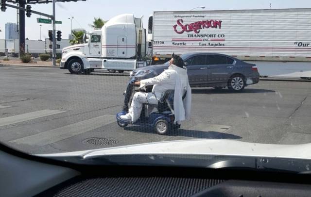 Daily Picdump [WEEKEND EDITION]