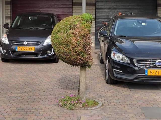 daily picdump weekend edition 53 pics 5.html - 53 HD Photos | Premium Gallery 2018