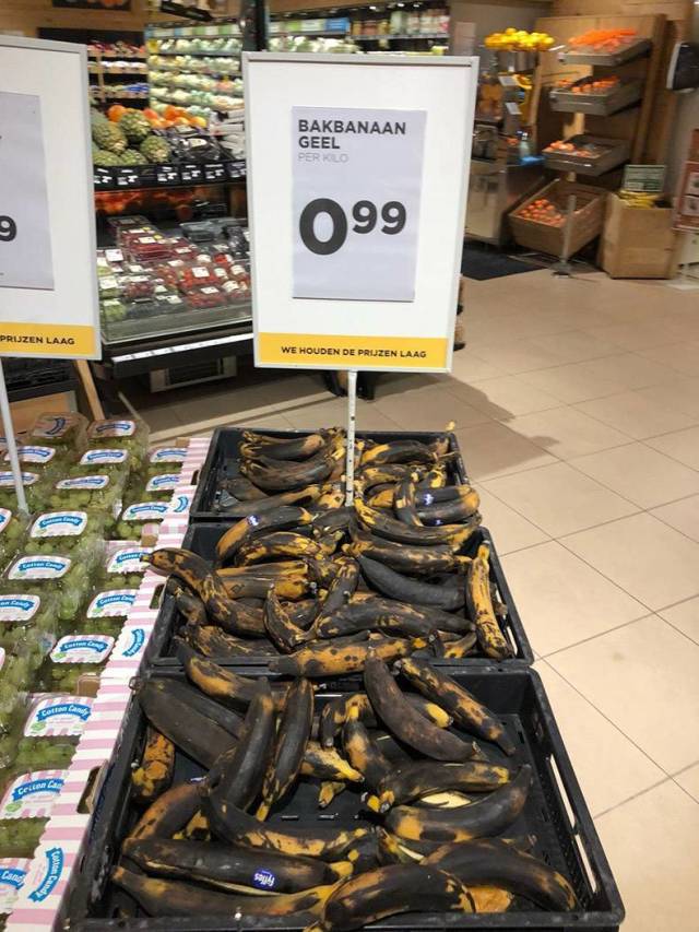 daily picdump weekend edition 53 pics 5.html - 53 HD Photos | Premium Gallery 2018