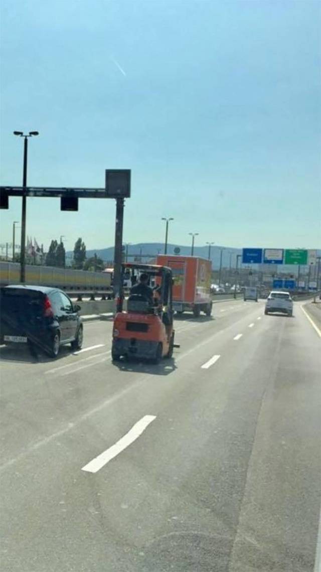 daily picdump weekend edition 53 pics 5.html - 53 HD Photos | Premium Gallery 2018