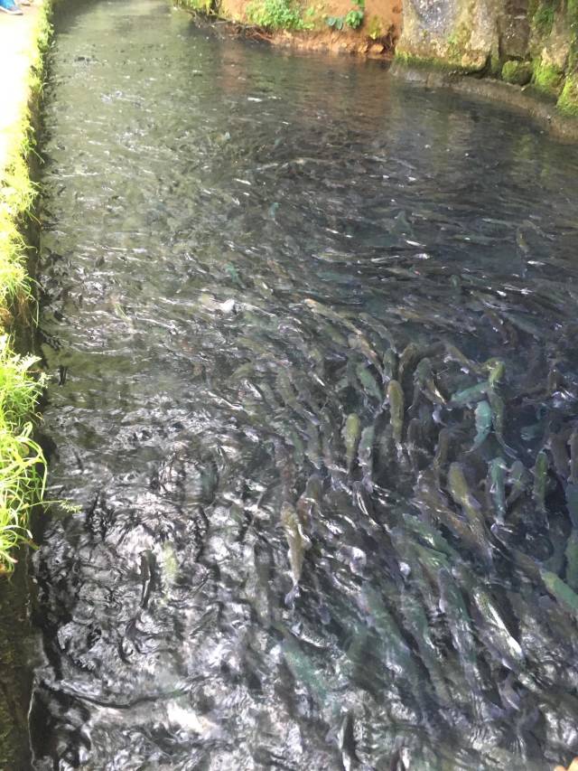 daily picdump weekend edition 53 pics 5.html - 53 HD Photos | Premium Gallery 2018