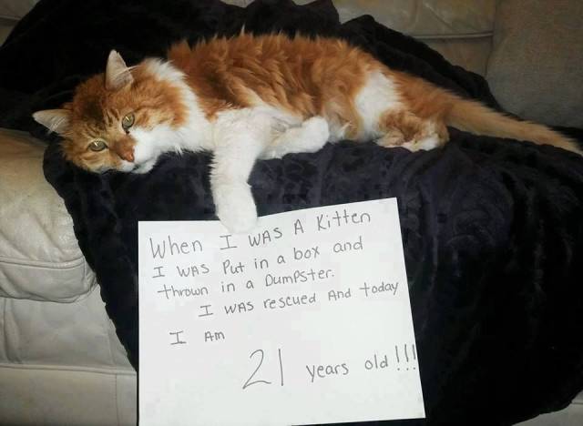 daily picdump 100 pics 4.html - 100 HD Photos | Premium Gallery 2018