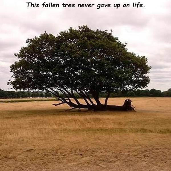 daily picdump 100 pics 4.html - 100 HD Photos | Premium Gallery 2018