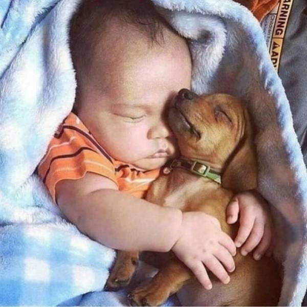 daily picdump 100 pics 4.html - 100 HD Photos | Premium Gallery 2018