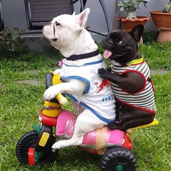 daily picdump 100 pics 4.html - 100 HD Photos | Premium Gallery 2018