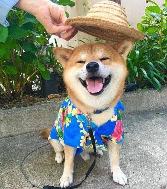 daily picdump 100 pics 4.html - 100 HD Photos | Premium Gallery 2018