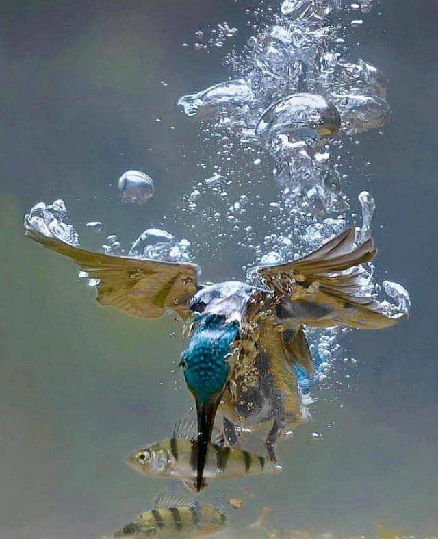 daily picdump 100 pics 4.html - 100 HD Photos | Premium Gallery 2018