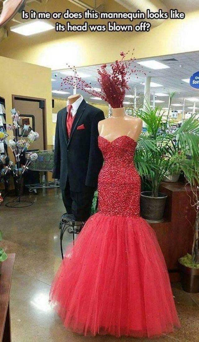 daily picdump 100 pics 4.html - 100 HD Photos | Premium Gallery 2018