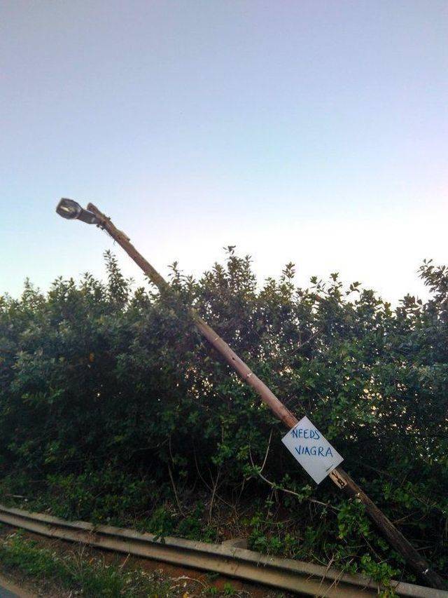 daily picdump 100 pics 4.html - 100 HD Photos | Premium Gallery 2018