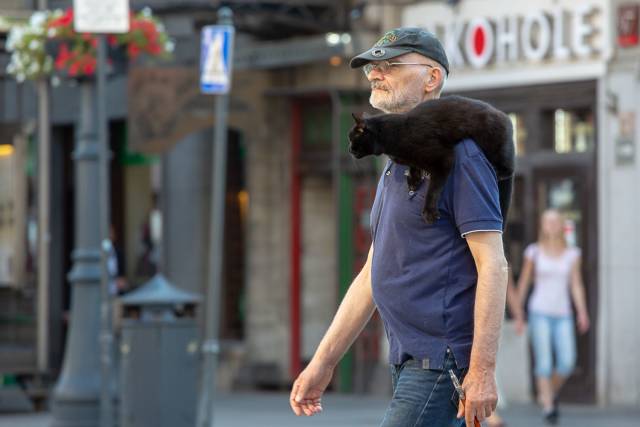 daily picdump 100 pics 9.html - 100 HD Photos | Premium Gallery 2018