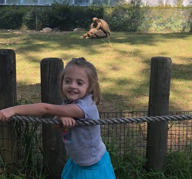 daily picdump 100 pics 9.html - 100 HD Photos | Premium Gallery 2018