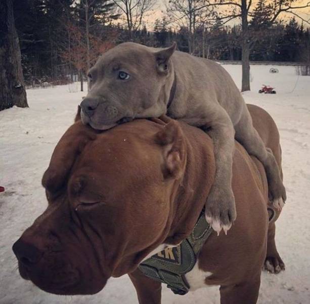 daily picdump 100 pics 9.html - 100 HD Photos | Premium Gallery 2018