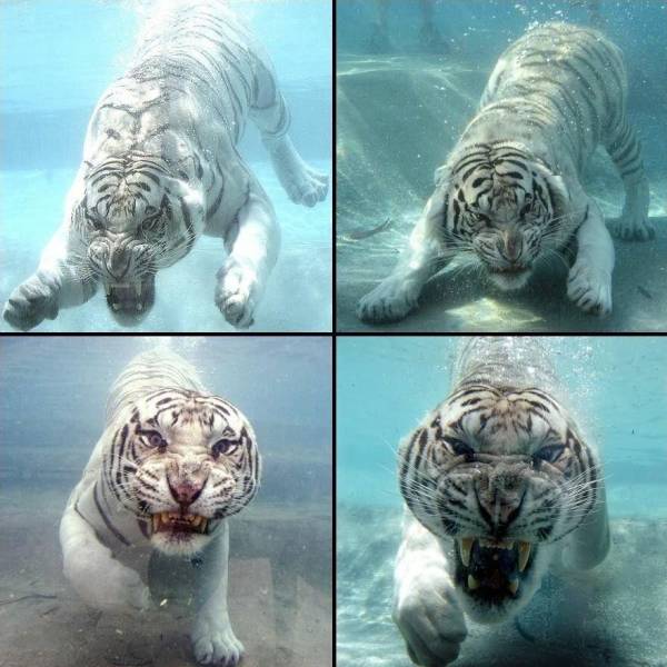 daily picdump 100 pics 9.html - 100 HD Photos | Premium Gallery 2018