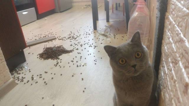 daily picdump 100 pics 9.html - 100 HD Photos | Premium Gallery 2018