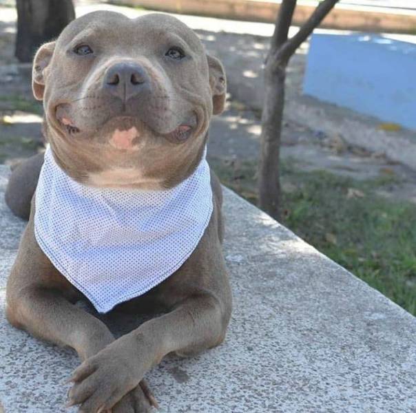 daily picdump 100 pics 9.html - 100 HD Photos | Premium Gallery 2018