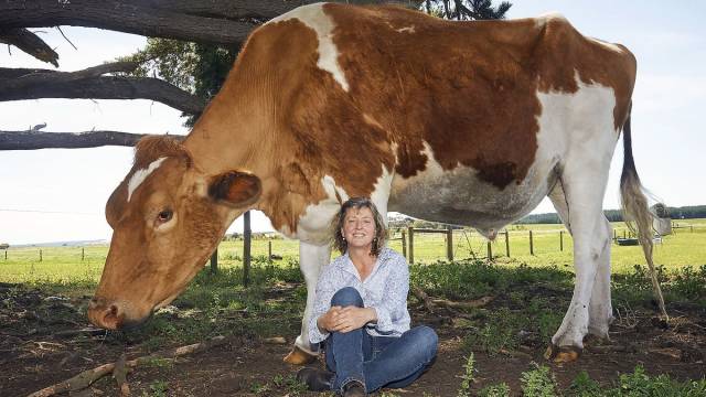 daily picdump 100 pics 9.html - 100 HD Photos | Premium Gallery 2018