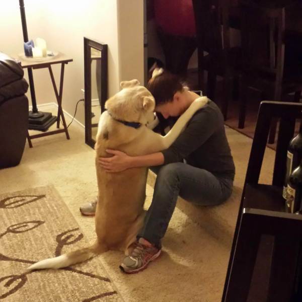 daily picdump 100 pics 9.html - 100 HD Photos | Premium Gallery 2018