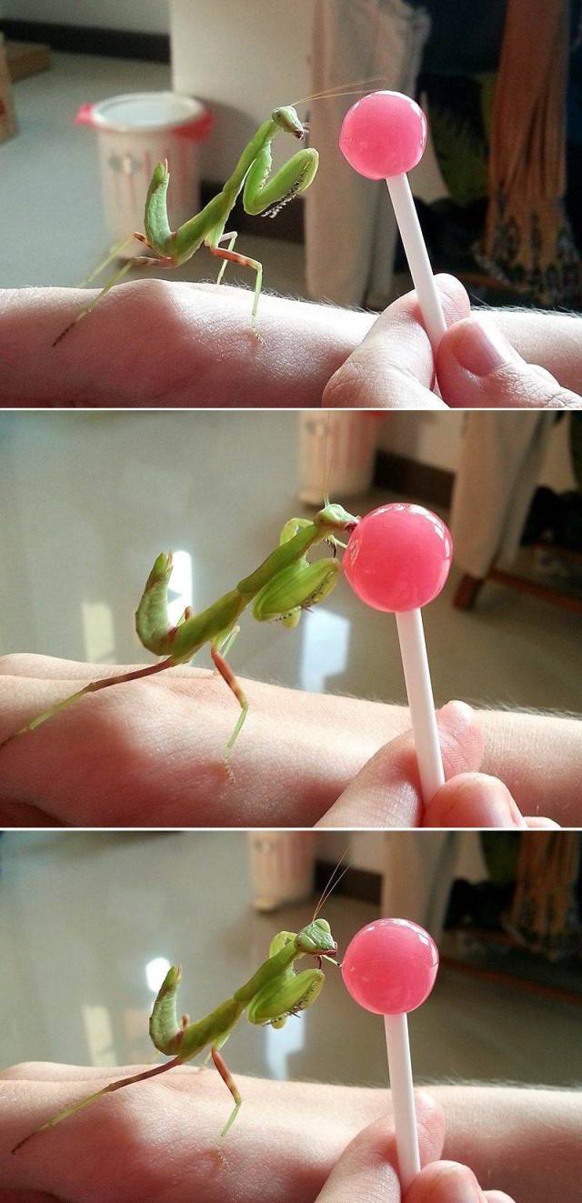 daily picdump 100 pics 9.html - 100 HD Photos | Premium Gallery 2018