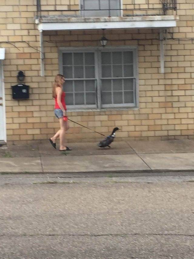 daily picdump 100 pics 9.html - 100 HD Photos | Premium Gallery 2018