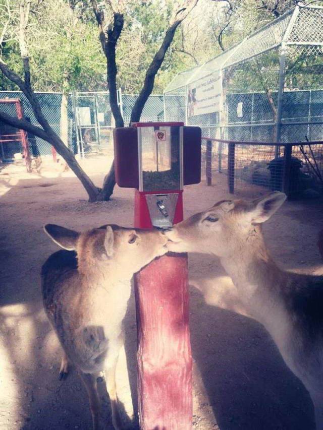 daily picdump 100 pics 9.html - 100 HD Photos | Premium Gallery 2018