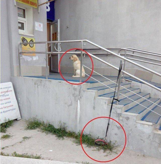 daily picdump 100 pics 9.html - 100 HD Photos | Premium Gallery 2018