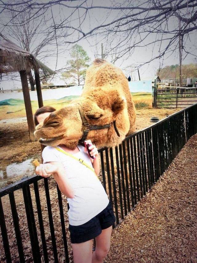 daily picdump 100 pics 9.html - 100 HD Photos | Premium Gallery 2018