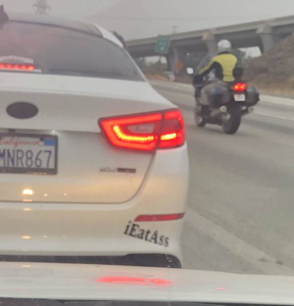 morning picdump 51 pics 10.html - 51 HD Photos | Premium Gallery 2018