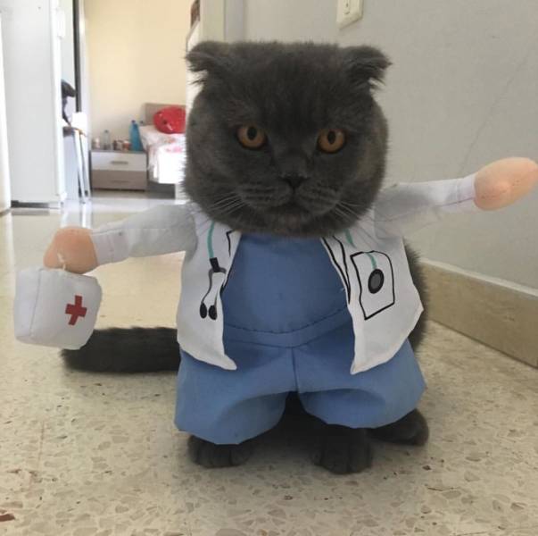 morning picdump 51 pics 10.html - 51 HD Photos | Premium Gallery 2018
