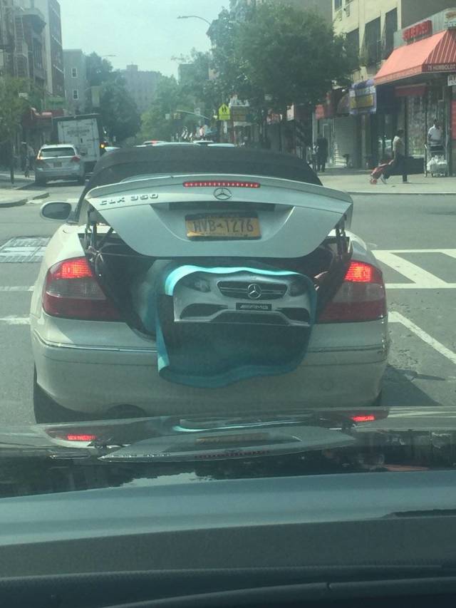 morning picdump 51 pics 10.html - 51 HD Photos | Premium Gallery 2018
