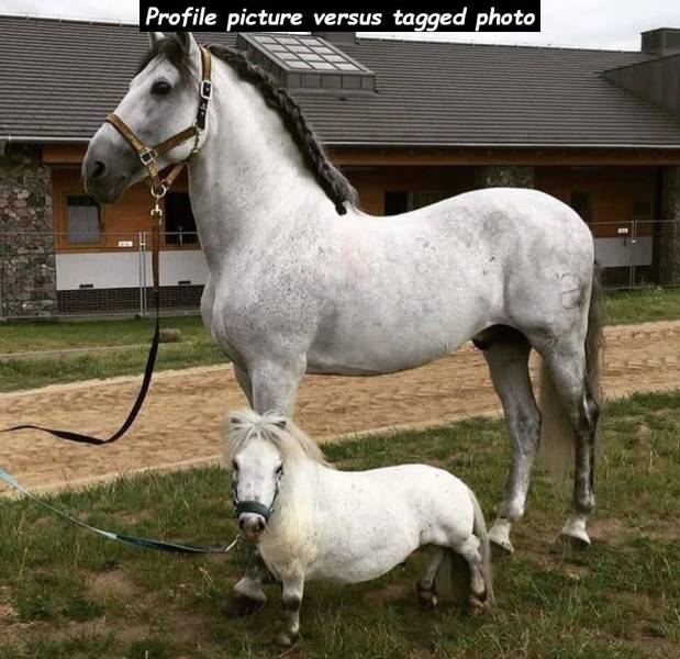 daily picdump 96 pics 47.html - 96 HD Photos | Premium Gallery 2018