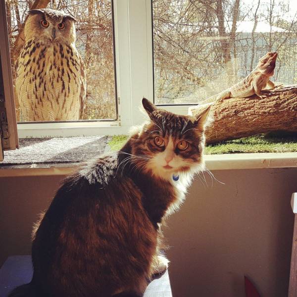 daily picdump 96 pics 47.html - 96 HD Photos | Premium Gallery 2018