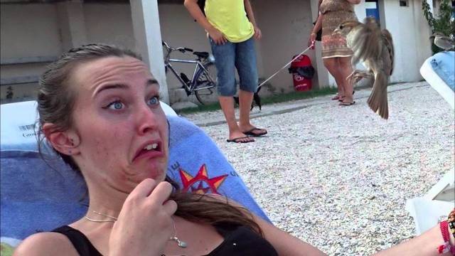 daily picdump 96 pics 47.html - 96 HD Photos | Premium Gallery 2018