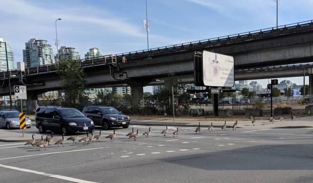 daily picdump 96 pics 47.html - 96 HD Photos | Premium Gallery 2018