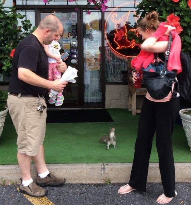 daily picdump 96 pics 47.html - 96 HD Photos | Premium Gallery 2018